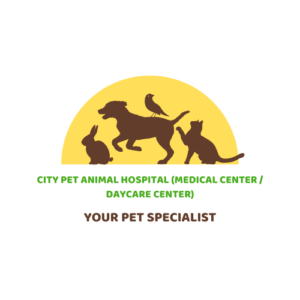 City Pet Animal Hospital (Medical Center / Daycare Center)