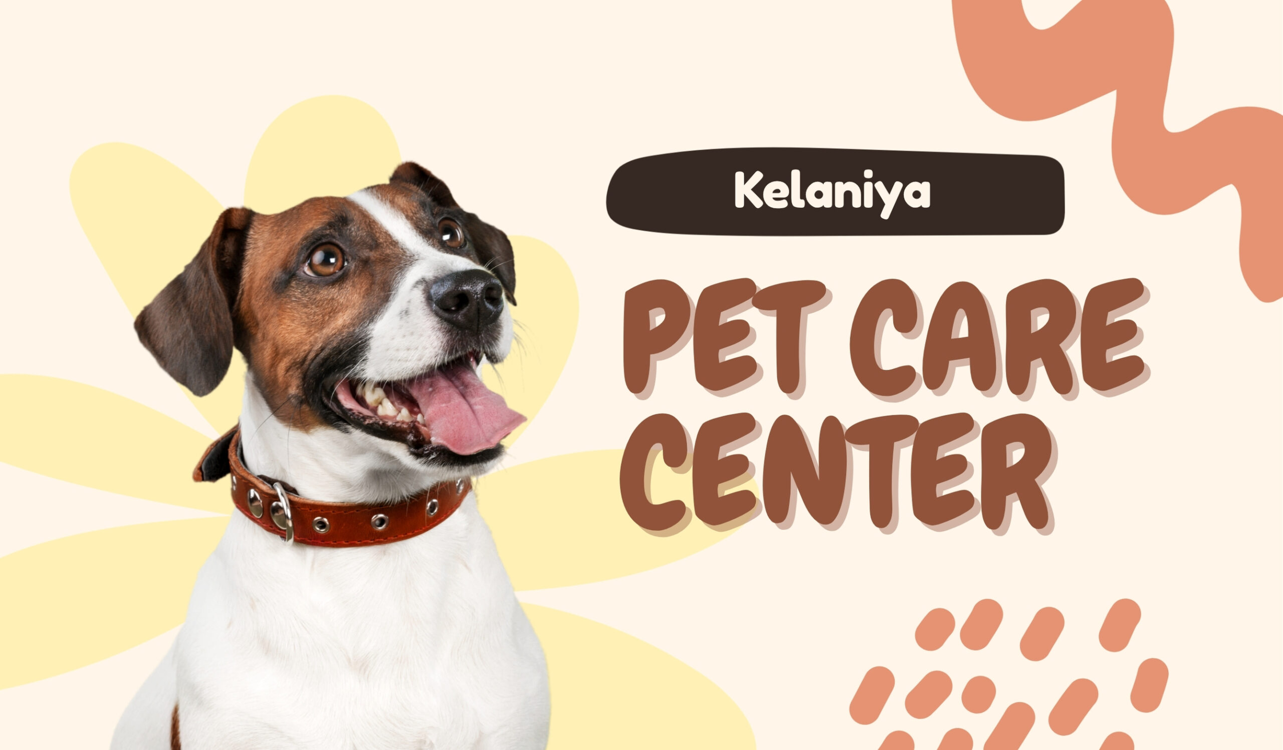 Kelaniya Pet Lab