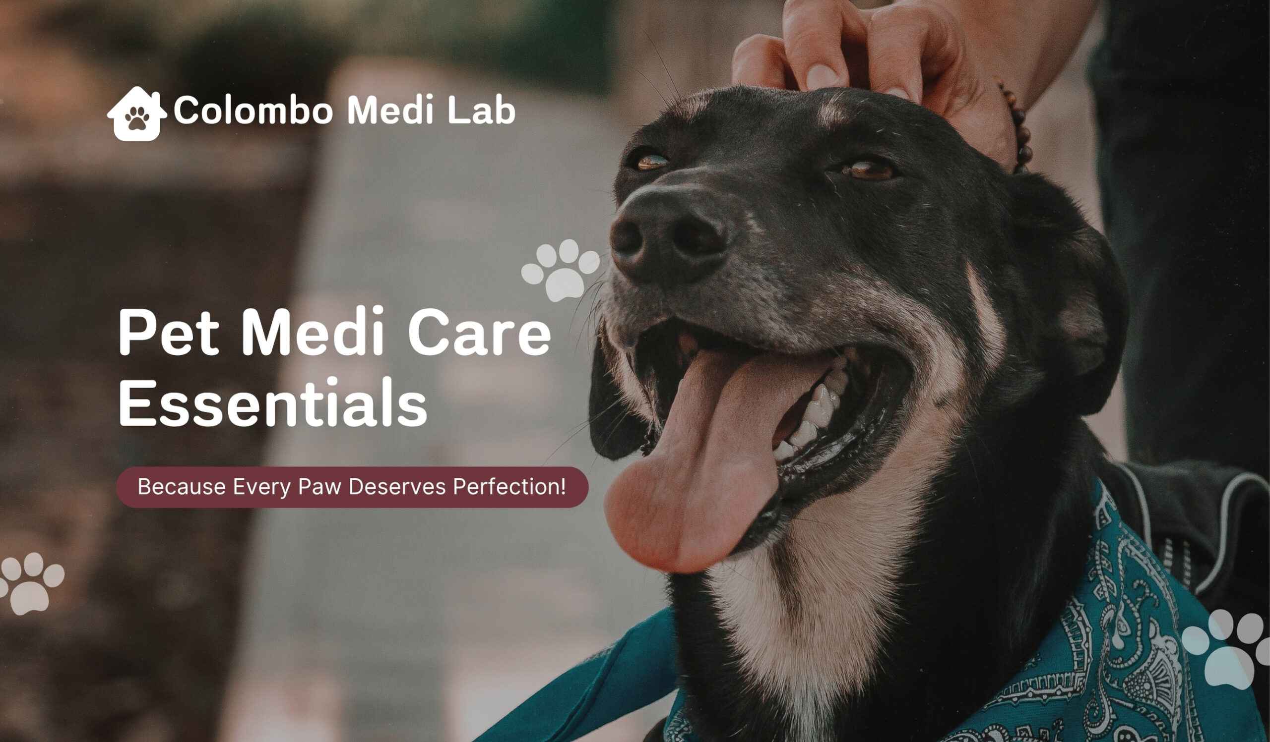 Colombo Medi Lab